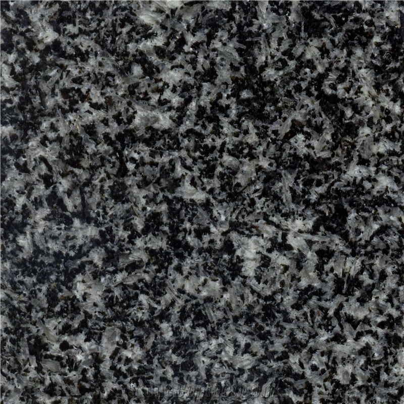 Royal Black M13 Granite Slabs