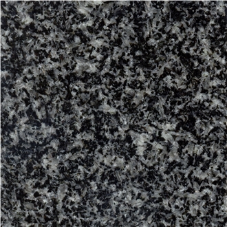 Royal Black M13 Granite Slabs