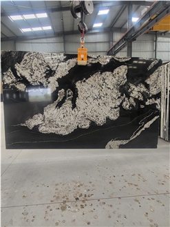 Indian Bianco Black Granite Slabs