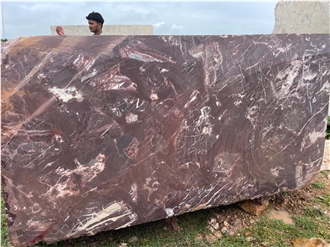 Indian Levanto Marble Blocks