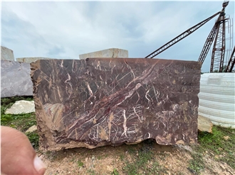 Indian Levanto Marble Blocks