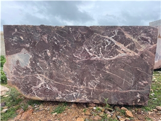 Indian Levanto Marble Blocks