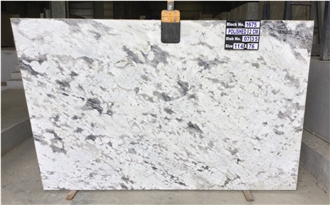 Roma White Granite Slabs