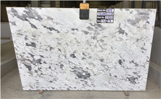 Roma White Granite Slabs