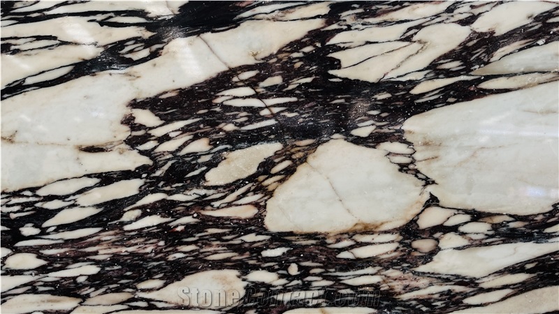 DMD Calacatta Viola Marble Slabs At Discount