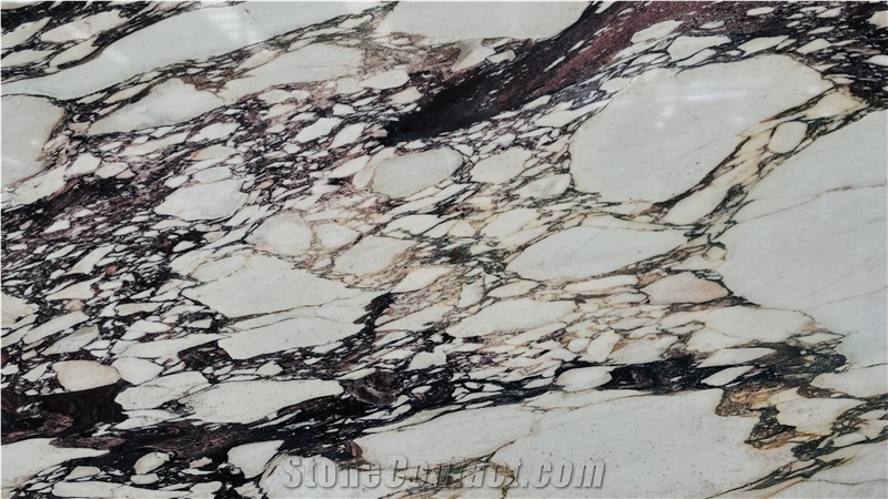 DMD Calacatta Viola Marble Slabs At Discount