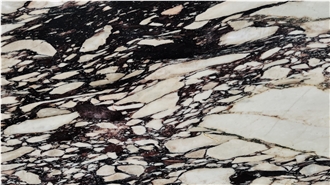 DMD Calacatta Viola Marble Slabs At Discount