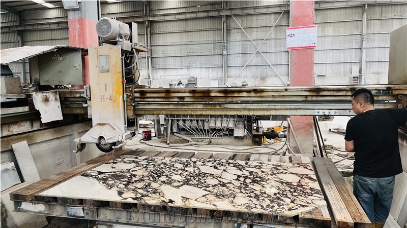 Italian Calacatta Viola Marble Tiles
