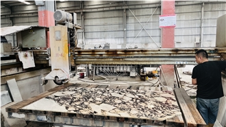 Italian Calacatta Viola Marble Tiles