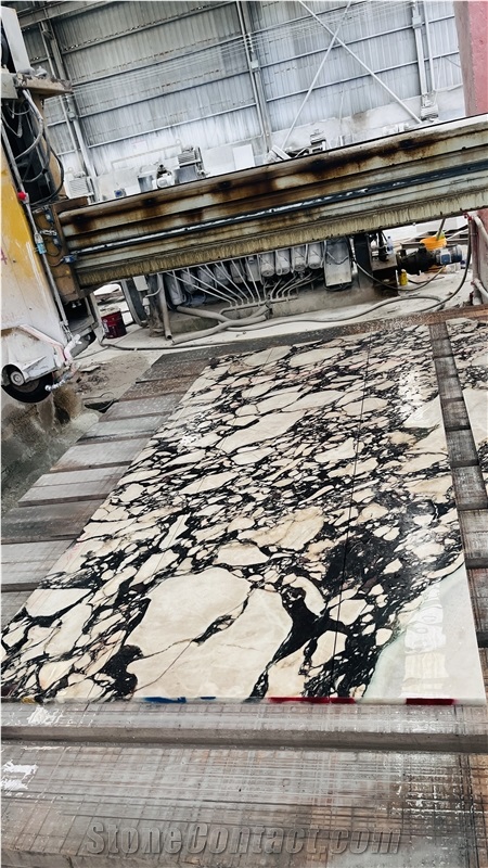 Italian Calacatta Viola Marble Tiles