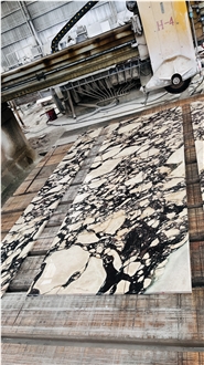 Italian Calacatta Viola Marble Tiles