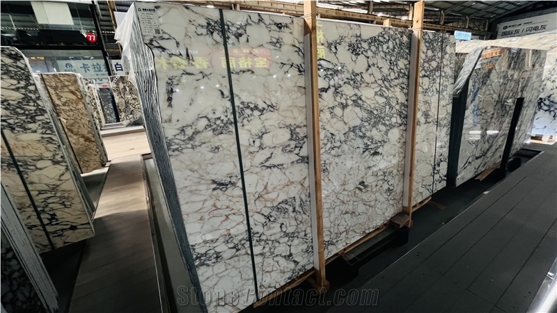 Turkish Calacatta Viola Marble Slabs