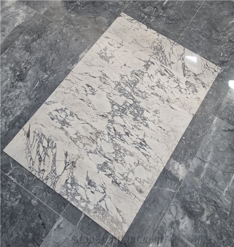 Calacatta Viola Marble Slabs Honed 2Cm