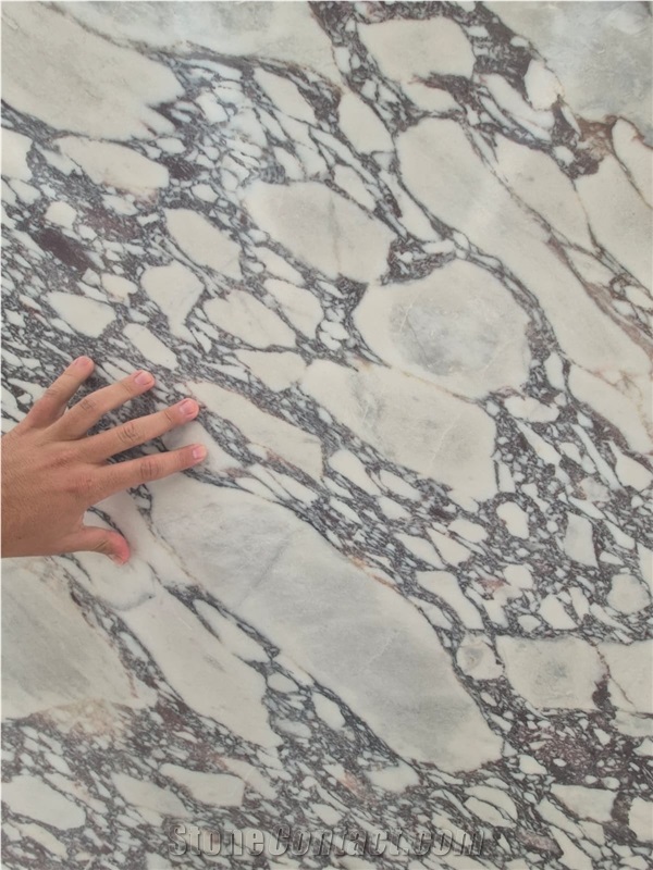Calacatta Viola Marble Slabs Honed 2Cm