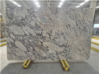 Calacatta Viola Marble Slabs Honed 2Cm