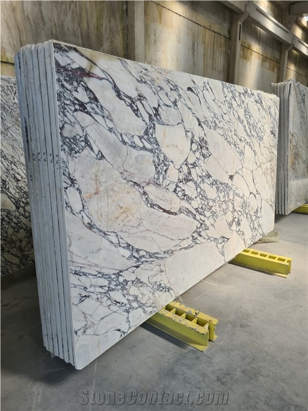 Calacatta Viola Marble Slabs