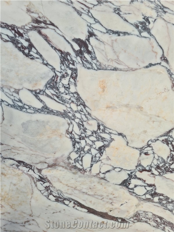 Calacatta Viola Marble Slabs