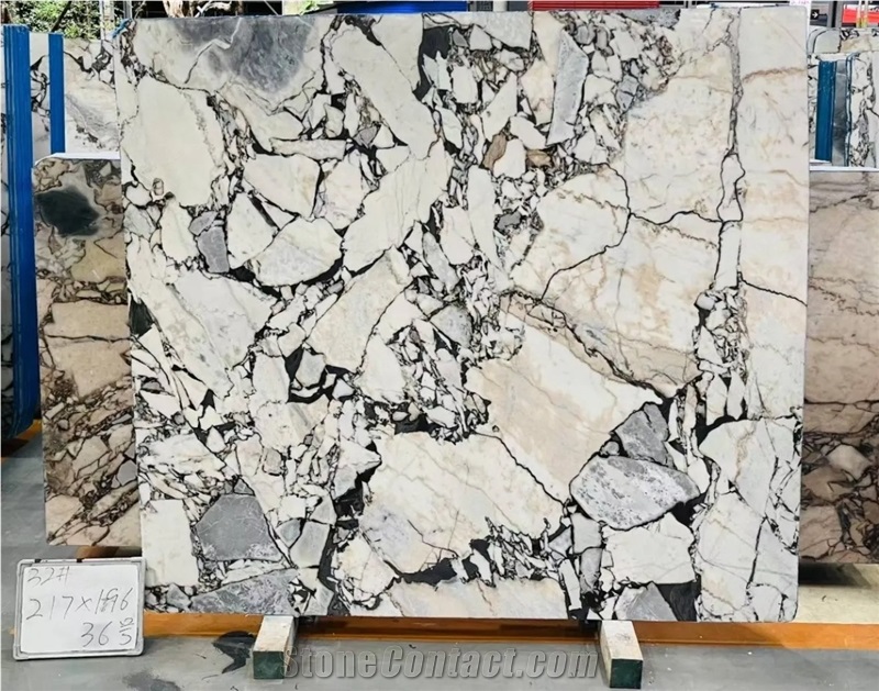 Elephant White Marble Slabs Polished