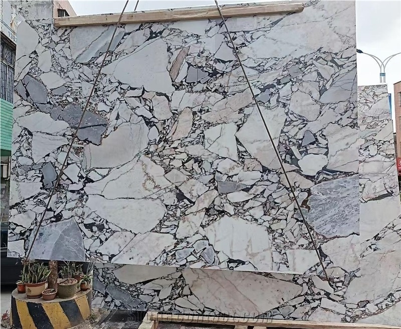 Elephant White Marble Slabs Polished