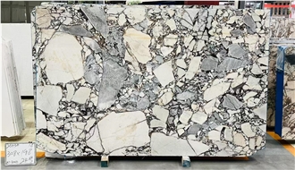 Elephant White Marble Slabs Polished
