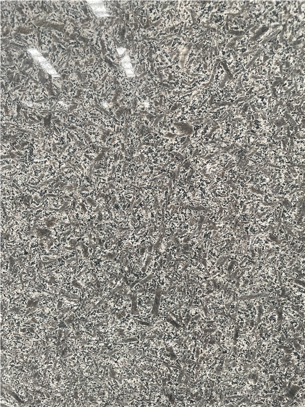 Grigio Scuro Granite Slabs For Exterior & Interior Application