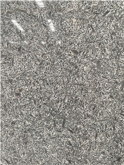 Grigio Scuro Granite Slabs For Exterior & Interior Application
