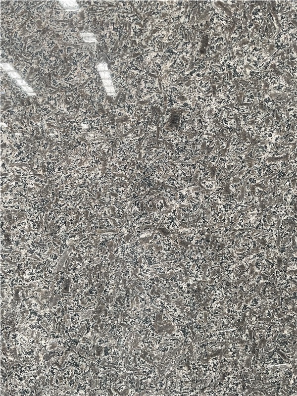New Grey Lily Of The Valley Polished Granite Slabs