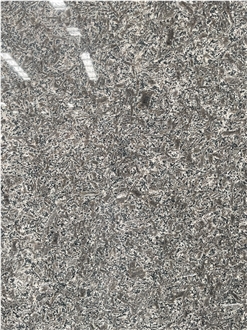 New Grey Lily Of The Valley Polished Granite Slabs