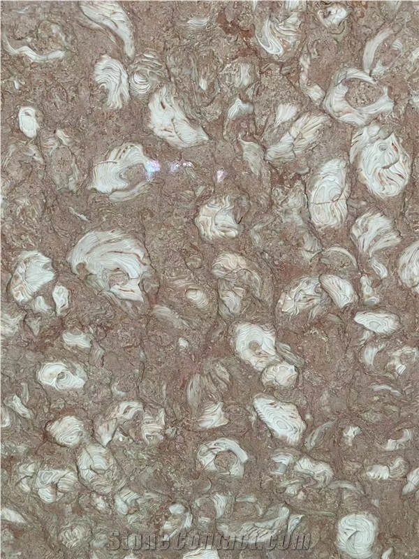 Shells Reef Pink Limestone Slabs For High-End Decoration