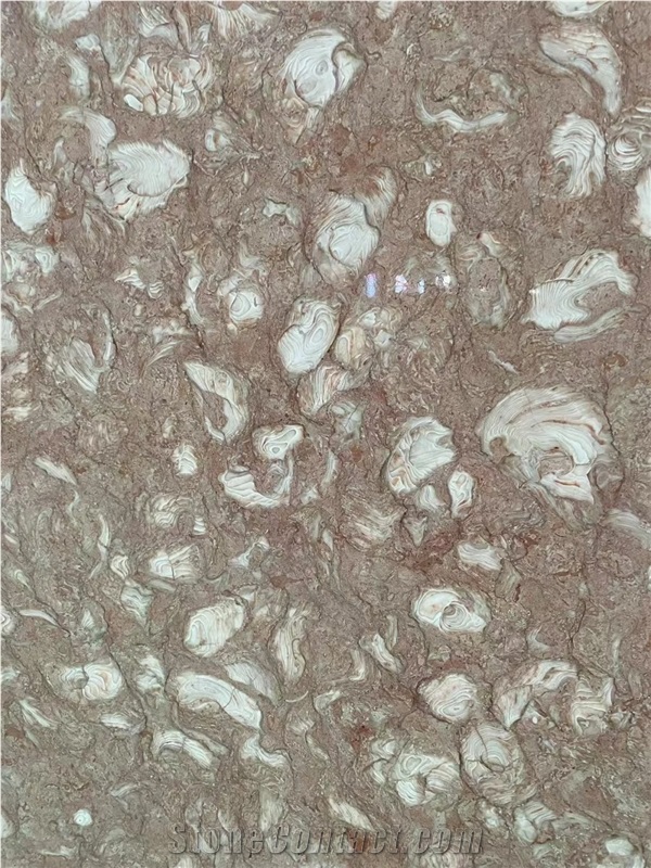 Shells Reef Pink Limestone Slabs For High-End Decoration