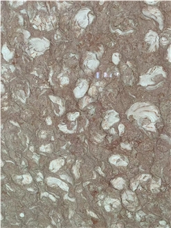 Shells Reef Pink Limestone Slabs For High-End Decoration