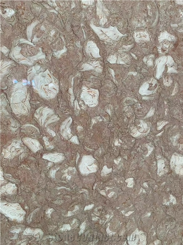 Shells Reef Pink Limestone Slabs For High-End Decoration