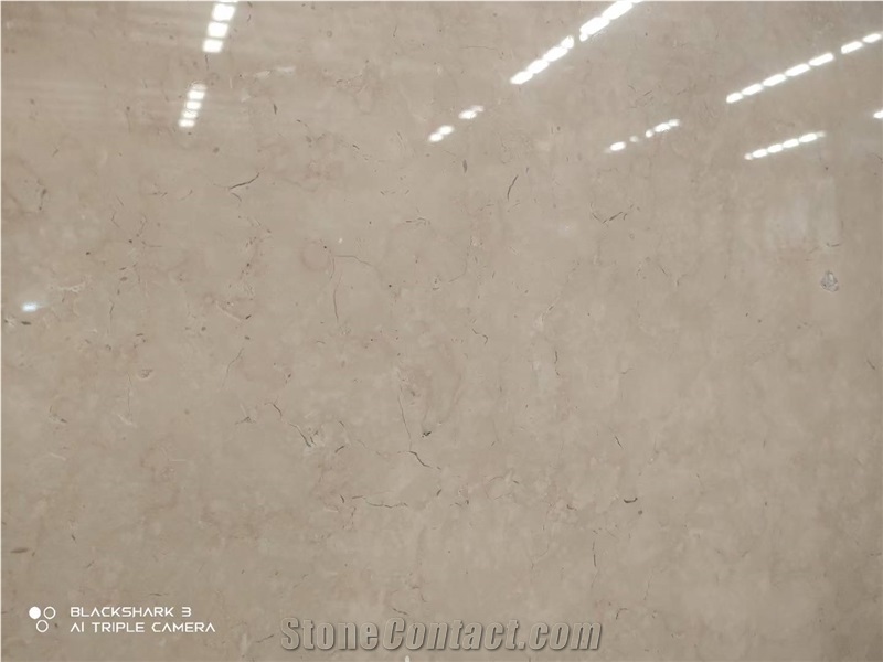 Egypt Cream Beige Galala Classic Marble Slab Tiles