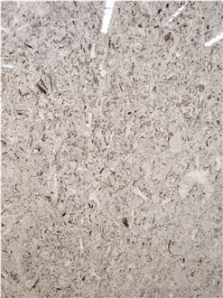 Italy Grey Aurisina Granitello Limestone Slabs