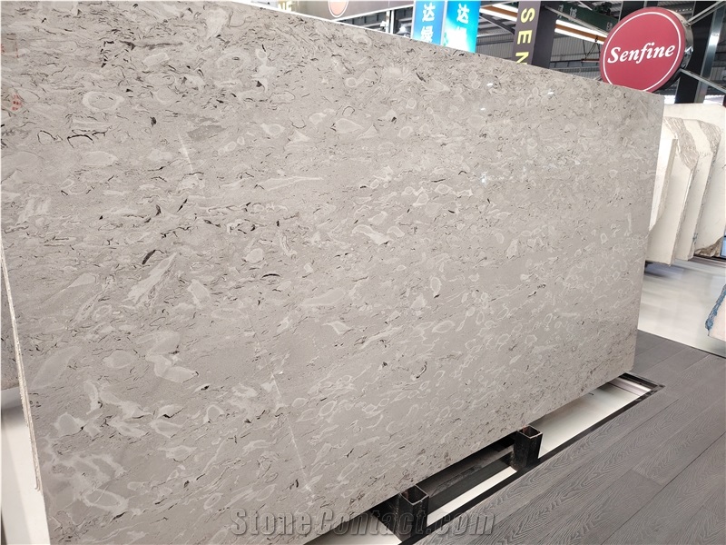 Italy Grey Aurisina Granitello Limestone Slabs