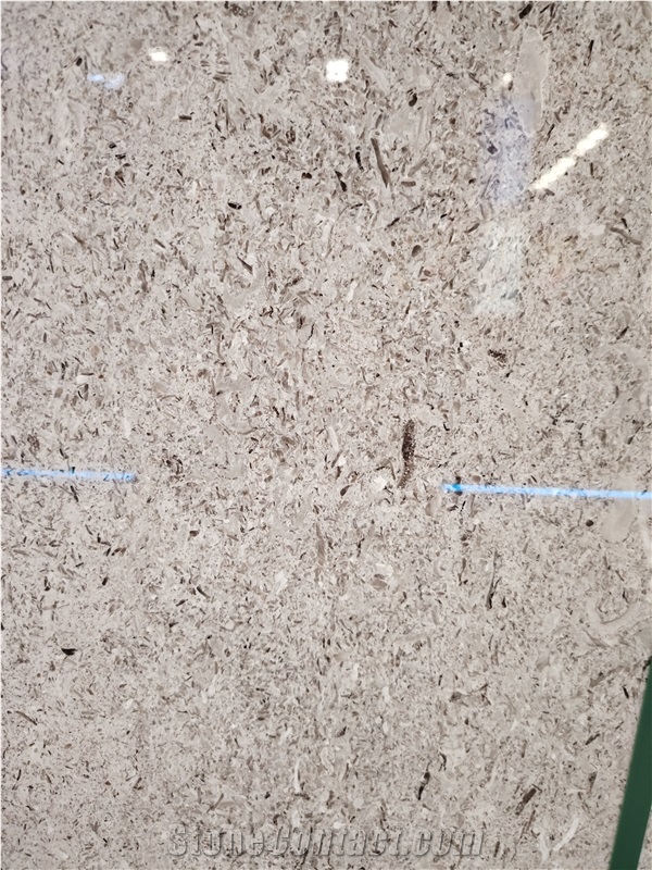 Italy Grey Aurisina Granitello Limestone Slabs
