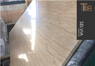 Silvia Marble Slabs Polished
