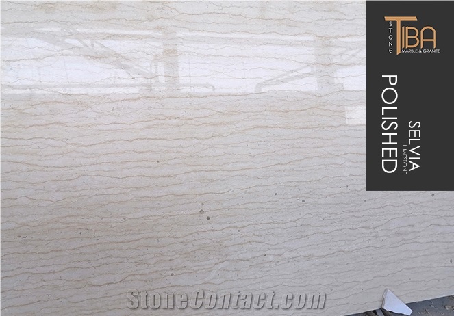Silvia Marble Slabs Polished