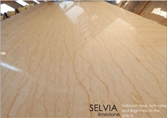 Silvia Marble Slabs Polished