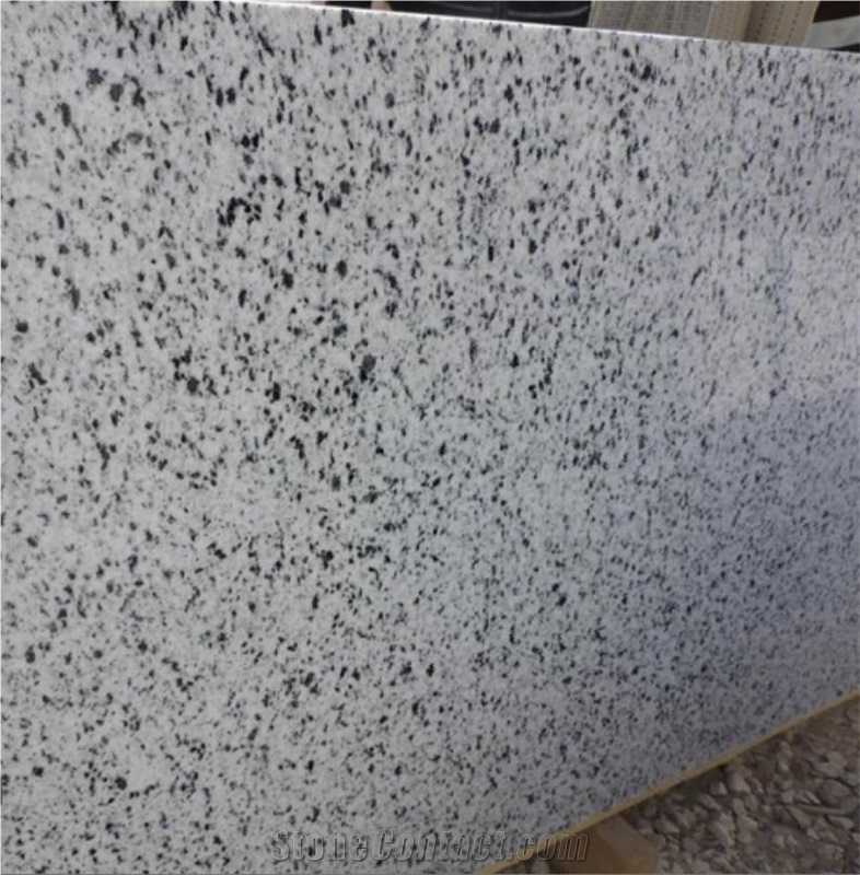 Bianco Halayeb Granite Slabs, Tiles