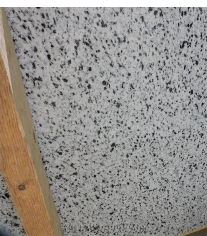 Bianco Halayeb Granite Slabs, Tiles