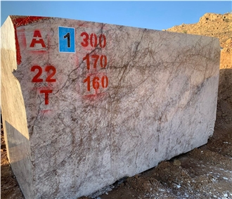 Silver Platinum Marble Blocks