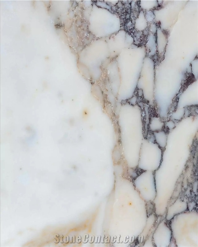 Calacatta Viola Marble Tiles
