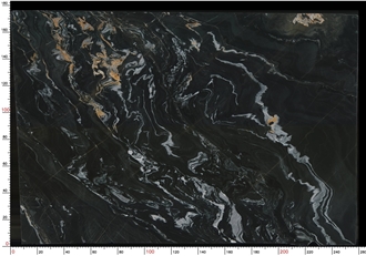 Golden Black Belvedere Quartzite Slabs