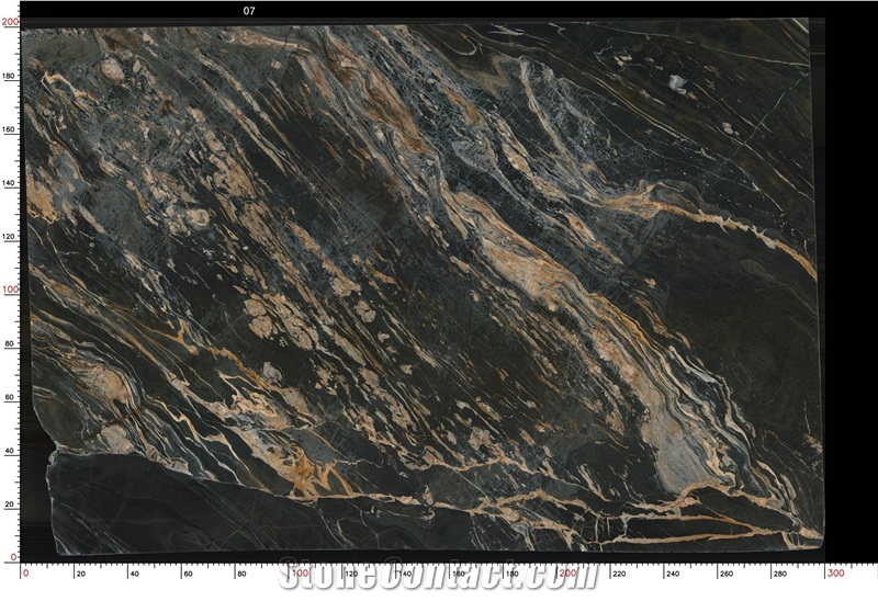 Golden Black Belvedere Quartzite Slabs