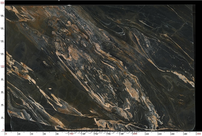 Golden Black Belvedere Quartzite Slabs