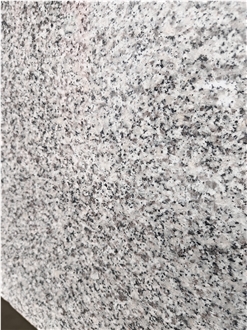 China Polished Ivory White Granite Slabs