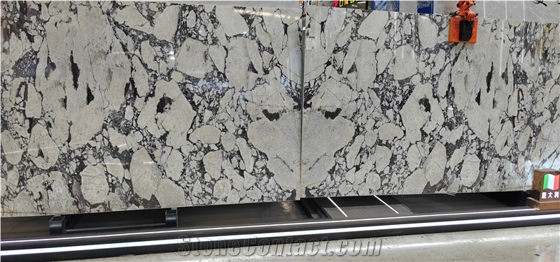 Calacatta Viola Marble Slabs