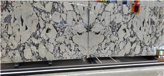 Calacatta Viola Marble Slabs