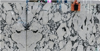Calacatta Viola Marble Slabs